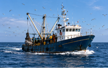 Marine Diesel Engine Oil for Fishing Vessels